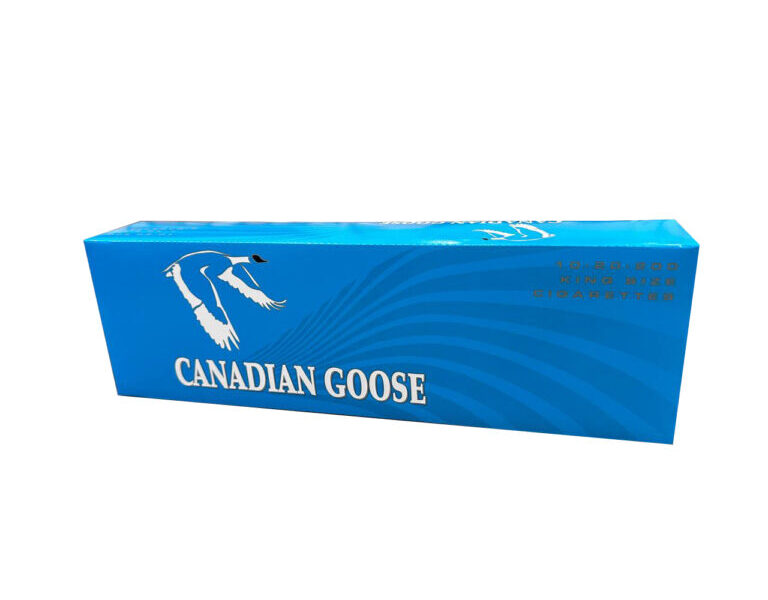 Canadian Goose Lights