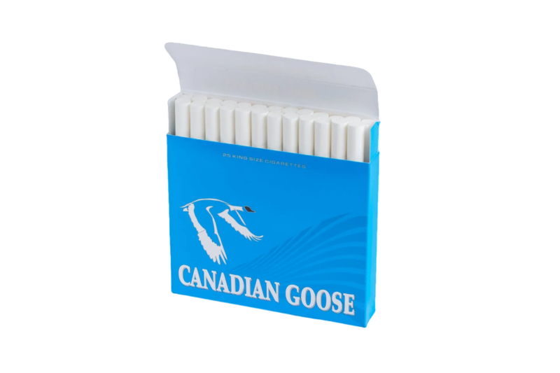 Canadian Goose Light - Image 2