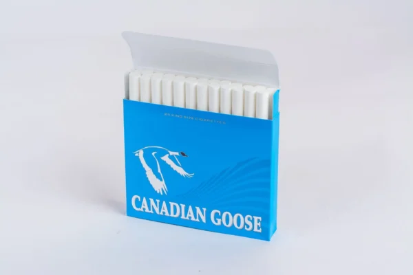 Canadian Goose Lights Premium 25 Pack