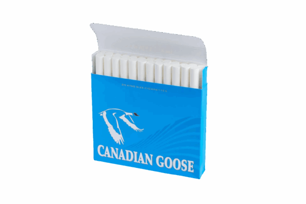Canadian Goose Light - Image 2