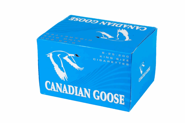 Canadian Goose Light