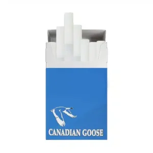 Canadian Goose Lights 20 Pack