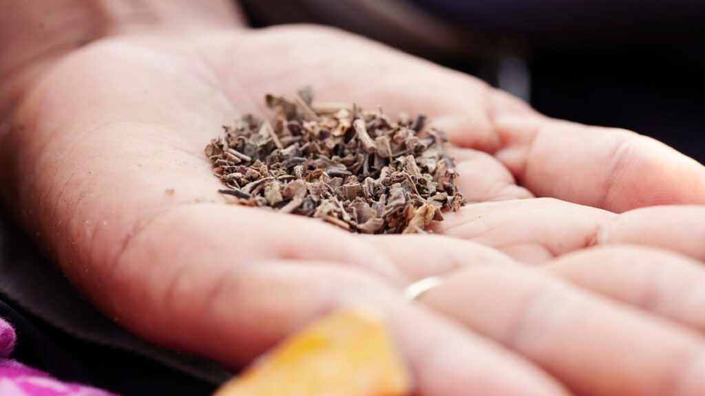 Chewing Tobacco Flavours in Canada